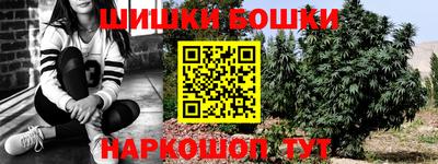 шишки Берёзовский